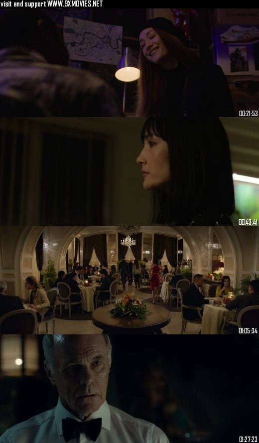 The Protege 2021 Dual Audio Hindi 720p 480p Bluray [900MB 300MB]