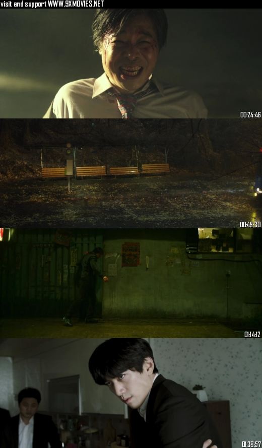 The Villainess 2017 Dual Audio Hindi 720p 480p BluRay [1GB 350MB]