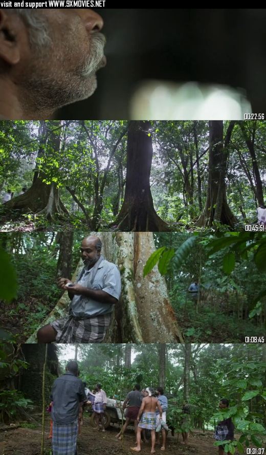 Churuli 2021 Dual Audio Hindi 720p 480p WEB-DL [950MB 350MB]