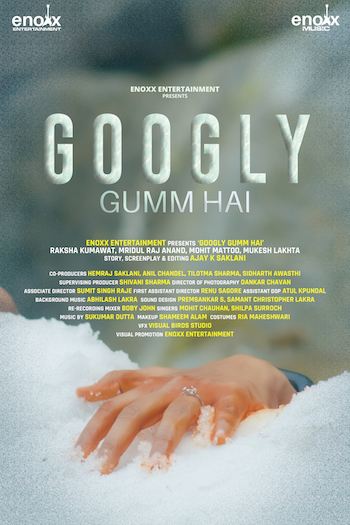 Googly Gumm Hai 2022 Hindi 720p 480p WEB-DL [950MB 280MB]