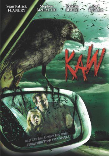 Kaw 2007 Dual Audio Hindi 720p 480p WEB-DL [950MB 280MB]