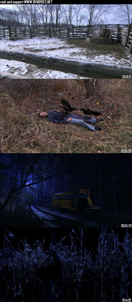 Kaw 2007 Dual Audio Hindi 720p 480p WEB-DL [950MB 280MB]