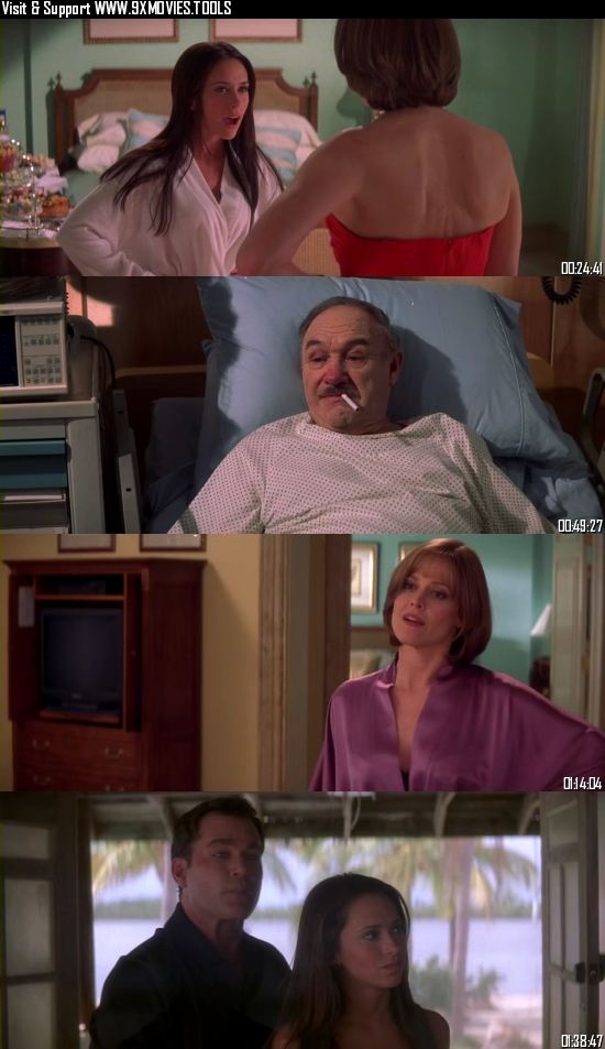 Heartbreakers 2001 Dual Audio Hindi 720p 480p BluRay [1GB 350MB]