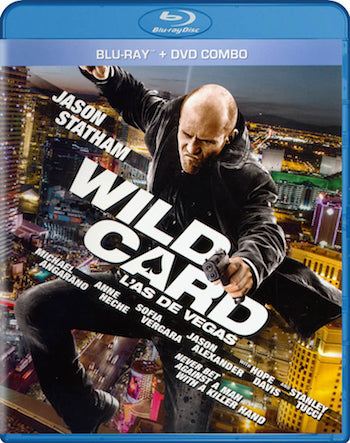 Wild Card 2015 Dual Audio Hindi 720p 480p BluRay [800MB 300MB]
