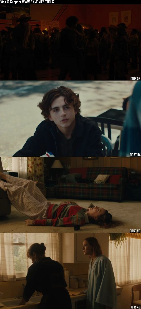 Lady Bird 2017 Dual Audio Hindi 720p 480p BluRay [950MB 300MB]