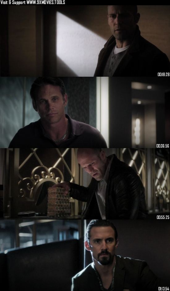 Wild Card 2015 Dual Audio Hindi 720p 480p BluRay [800MB 300MB]