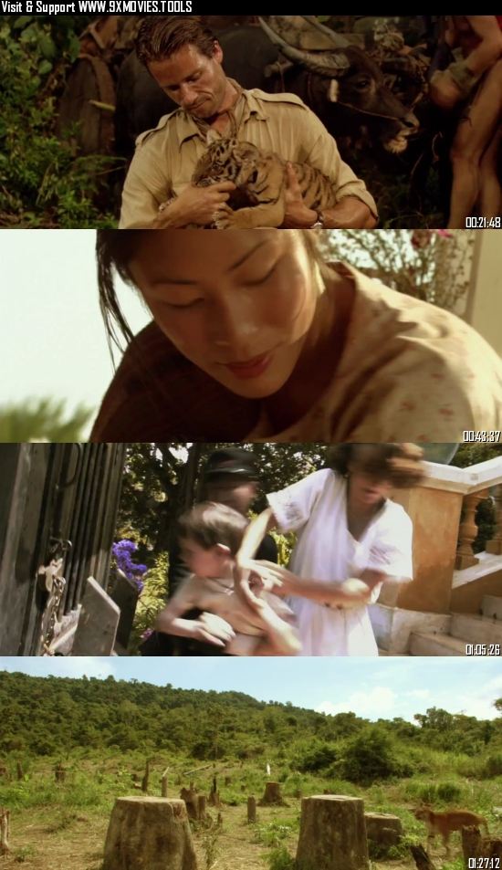 Two Brothers 2004 Dual Audio Hindi 720p 480p BluRay [950MB 350MB]