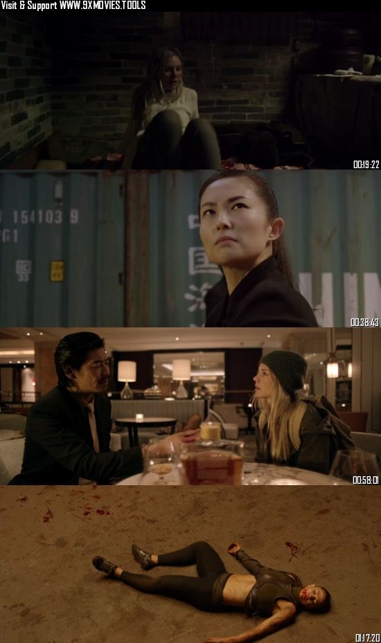 Lady Bloodfight 2016 Dual Audio Hindi 720p 480p BluRay [800MB 300MB]