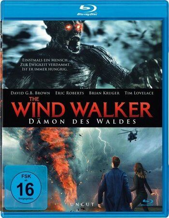 The Wind Walker 2019 Dual Audio Hindi 720p 480p BluRay [800MB 300MB]
