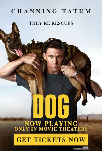 Dog 2022 Dual Audio Hindi 720p 480p WEB-DL [850MB 300MB]