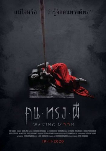 Waning Moon 2020 UNCUT Dual Audio Hindi 720p 480p WEB-DL [750MB 280MB]