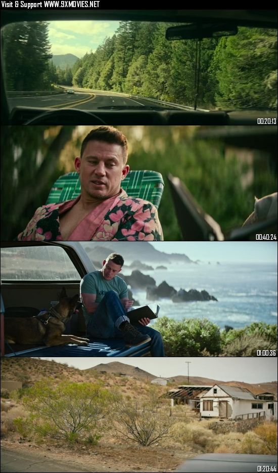 Dog 2022 Dual Audio Hindi 720p 480p WEB-DL [850MB 300MB]