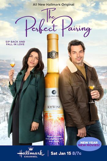 A Perfect Pairing 2022 Dual Audio Hindi 720p 480p WEB-DL [850MB 300MB]