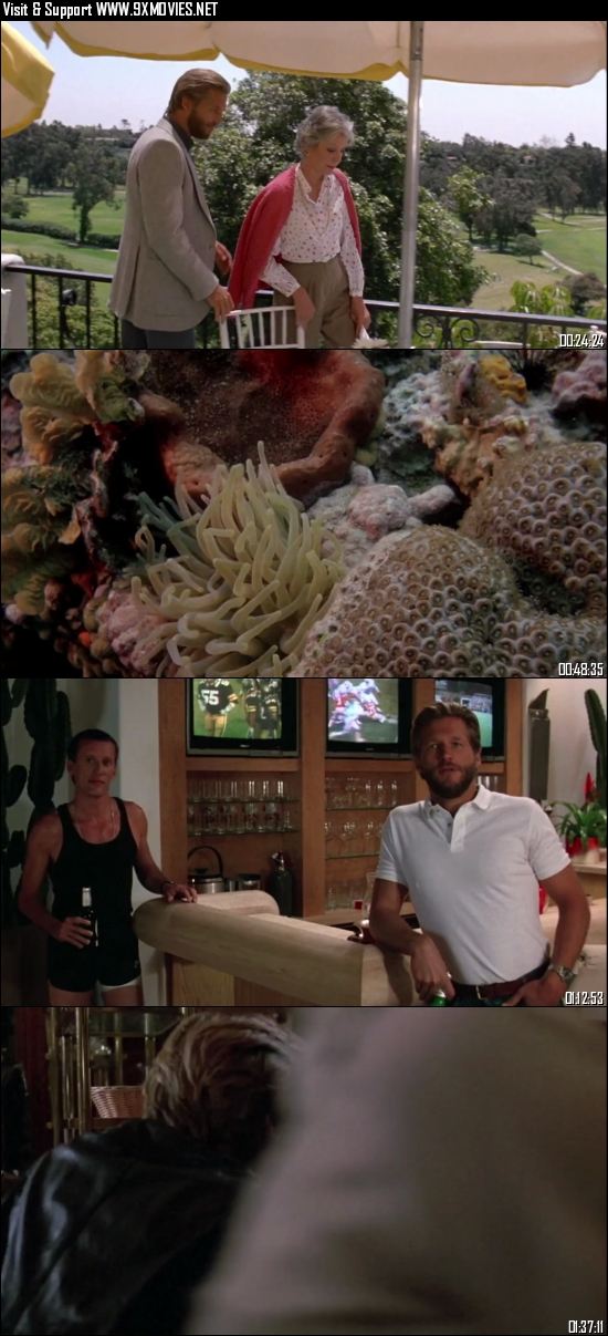 Against All Odds 1984 Dual Audio Hindi 720p 480p BluRay [1GB 350MB]