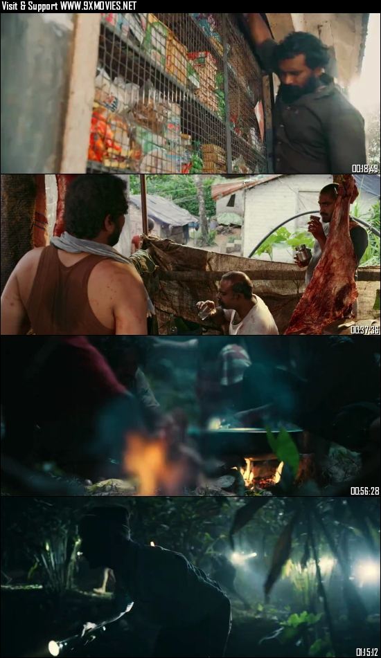 Jallikattu 2019 Dual Audio Hindi 720p 480p WEB-DL [750MB 280MB]