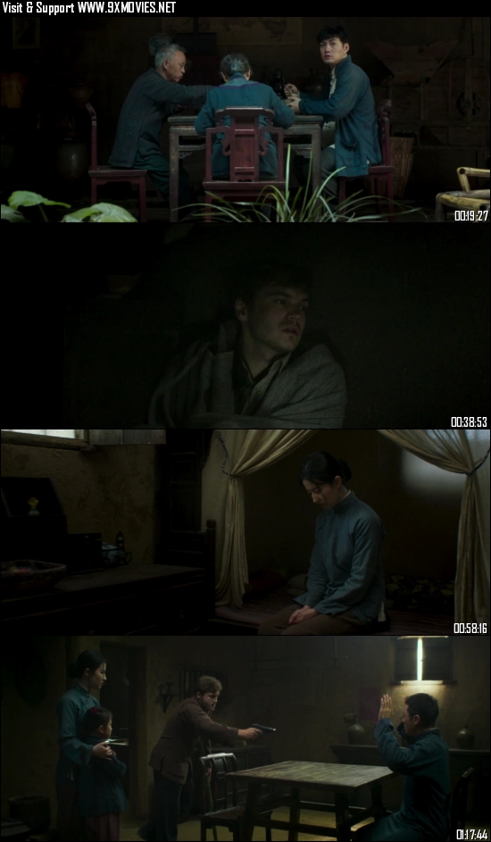 The Chinese Widow 2017 Dual Audio Hindi 720p 480p BluRay [850MB 300MB]