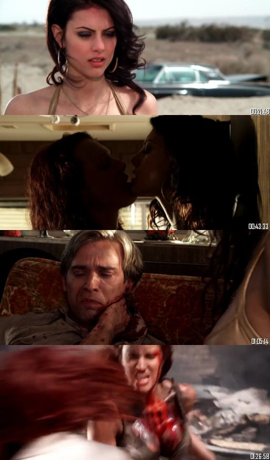 Bitch Slap 2009 UNRATED Dual Audio Hindi 720p 480p BluRay [900MB 300MB]