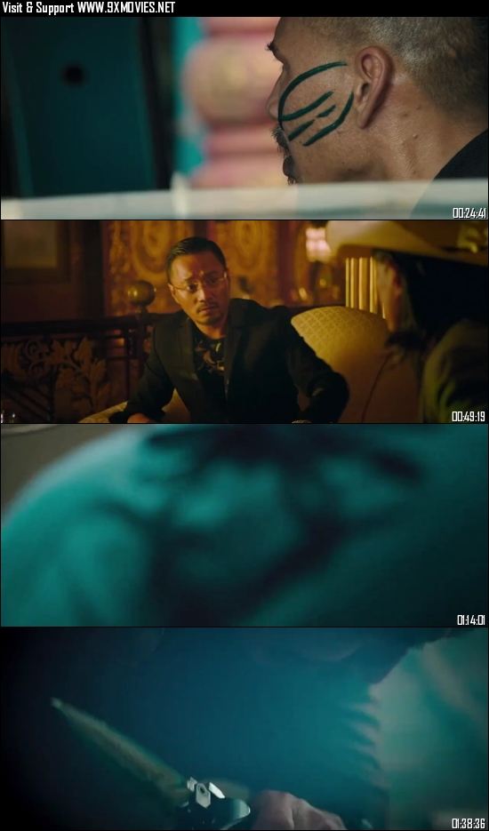 Operation Mekong 2016 Dual Audio Hindi 720p 480p BluRay [1GB 350MB]