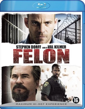 Felon 2008 Dual Audio Hindi 720p 480p BluRay [850MB 300MB]