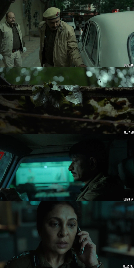 Delhi Crime S02 Hindi 720p 480p WEB-DL [2GB 550MB]