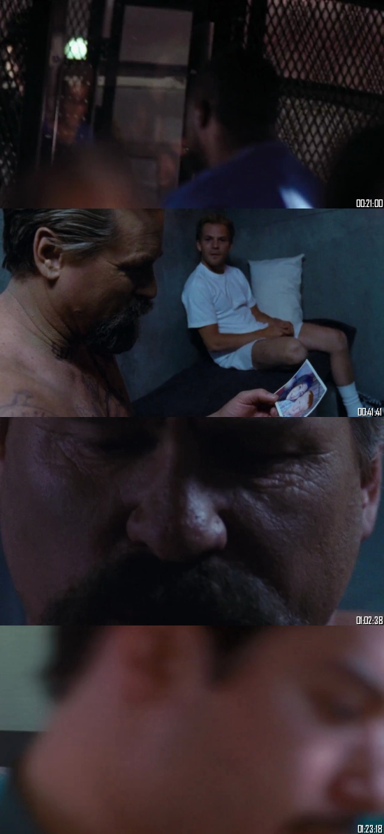 Felon 2008 Dual Audio Hindi 720p 480p BluRay [850MB 300MB]