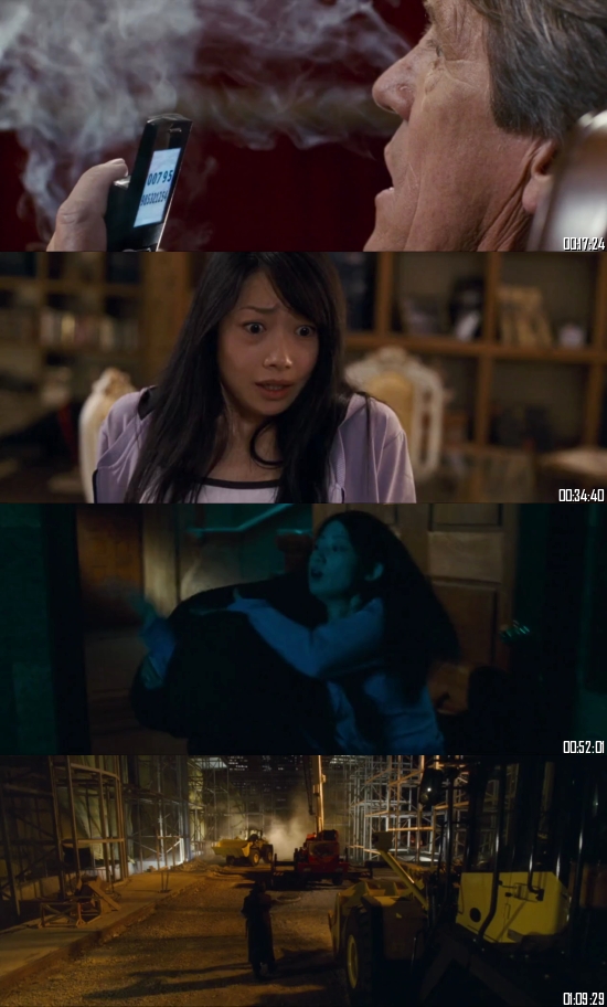 Ninja 2009 Dual Audio Hindi 720p 480p BluRay [750MB 280MB]