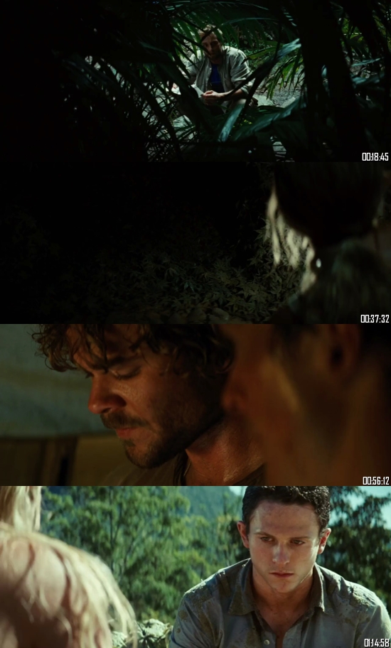 The Ruins 2008 Dual Audio Hindi 720p 480p BluRay [750MB 300MB]