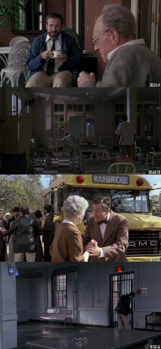 Awakenings 1990 Dual Audio Hindi 720p 480p BluRay [1GB 350MB]