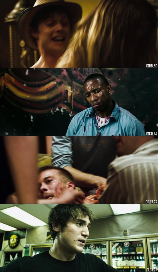 Brotherhood 2010 Dual Audio Hindi 720p 480p BluRay [850MB 280MB]