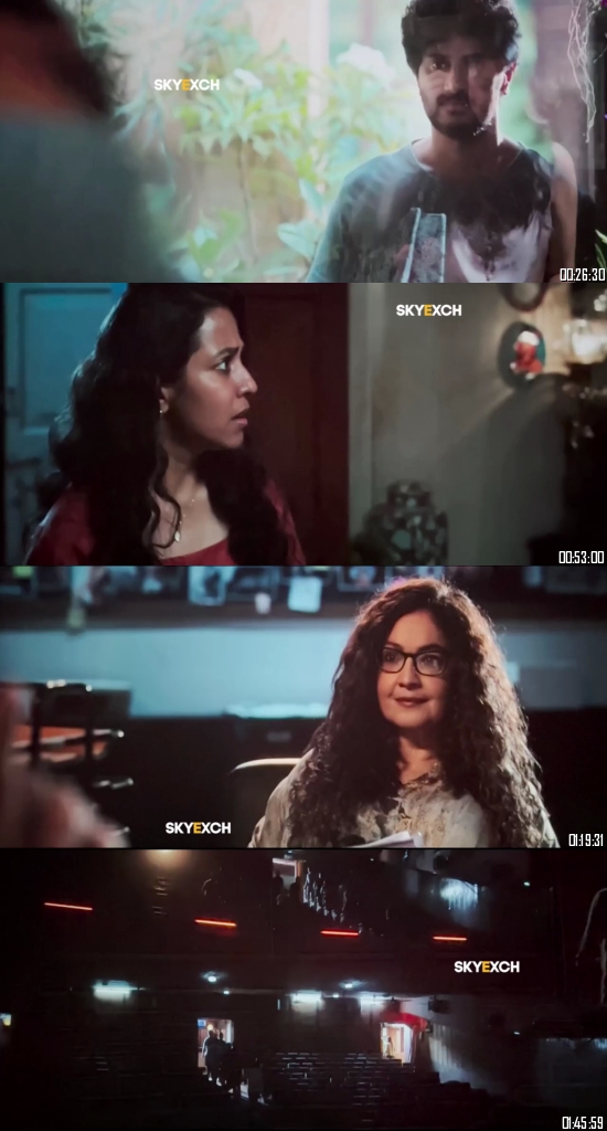 Chup 2022 Hindi 720p 480p pDVDRip [1GB 400MB]