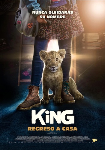 King 2022 Dual Audio Hindi 720p 480p WEB-DL [800MB 300MB]