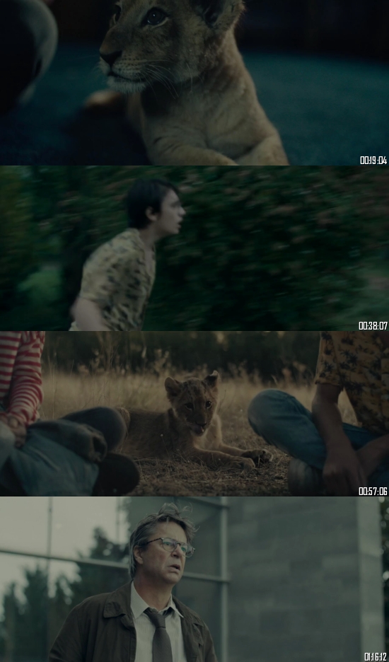 King 2022 Dual Audio Hindi 720p 480p WEB-DL [800MB 300MB]