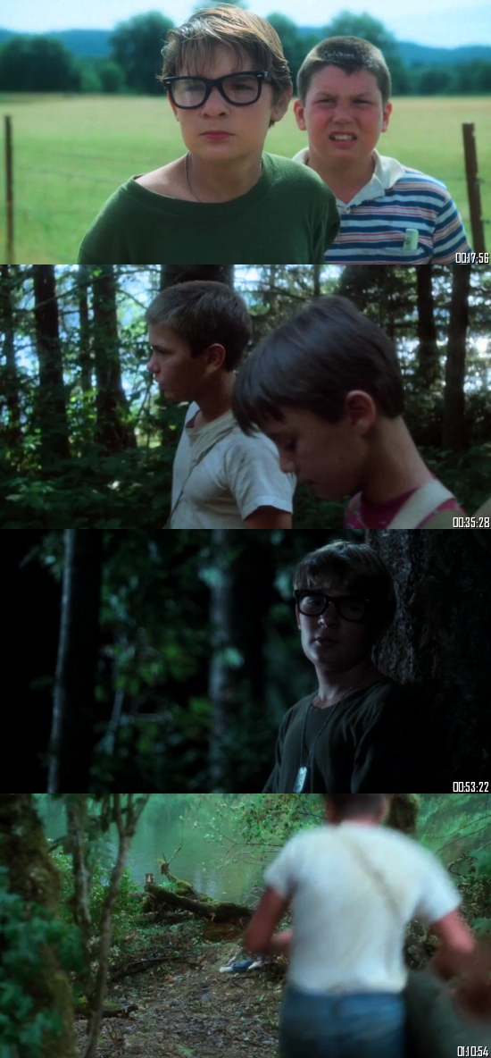 Stand By Me 1986 Dual Audio Hindi 720p 480 BluRay [750MB 280MB]
