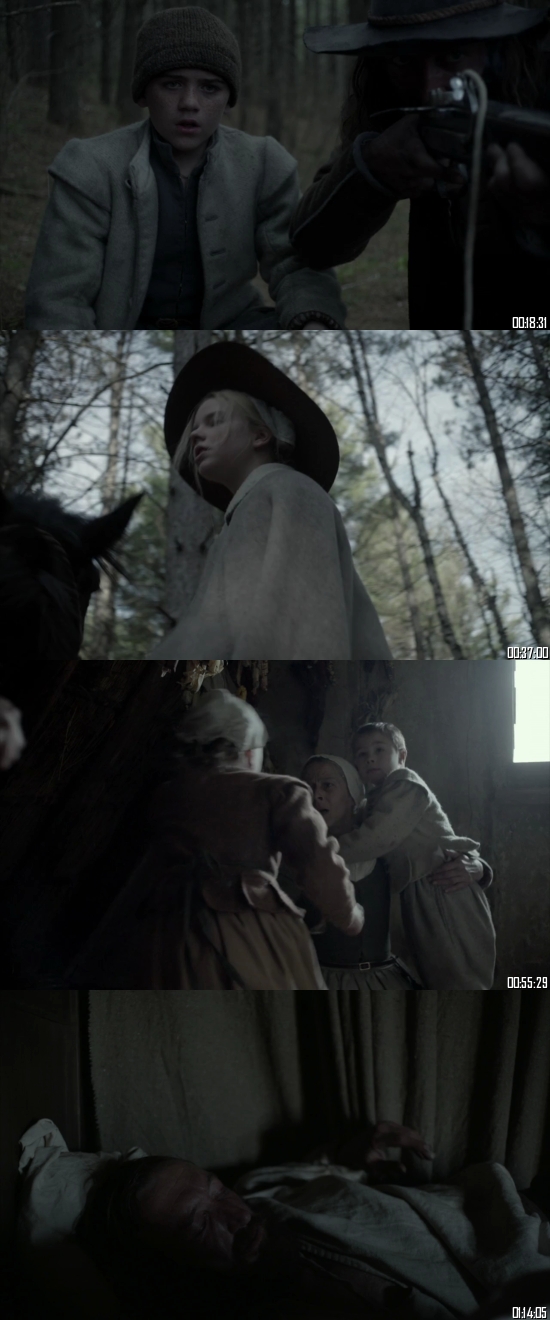 The Witch 2015 Dual Audio Hindi 720p 480p BluRay [950MB 300MB]