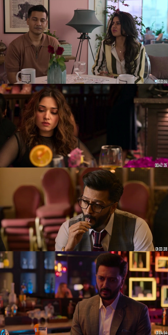 Plan A Plan B 2022 Hindi 720p 480p WEB-DL [850MB 300MB]