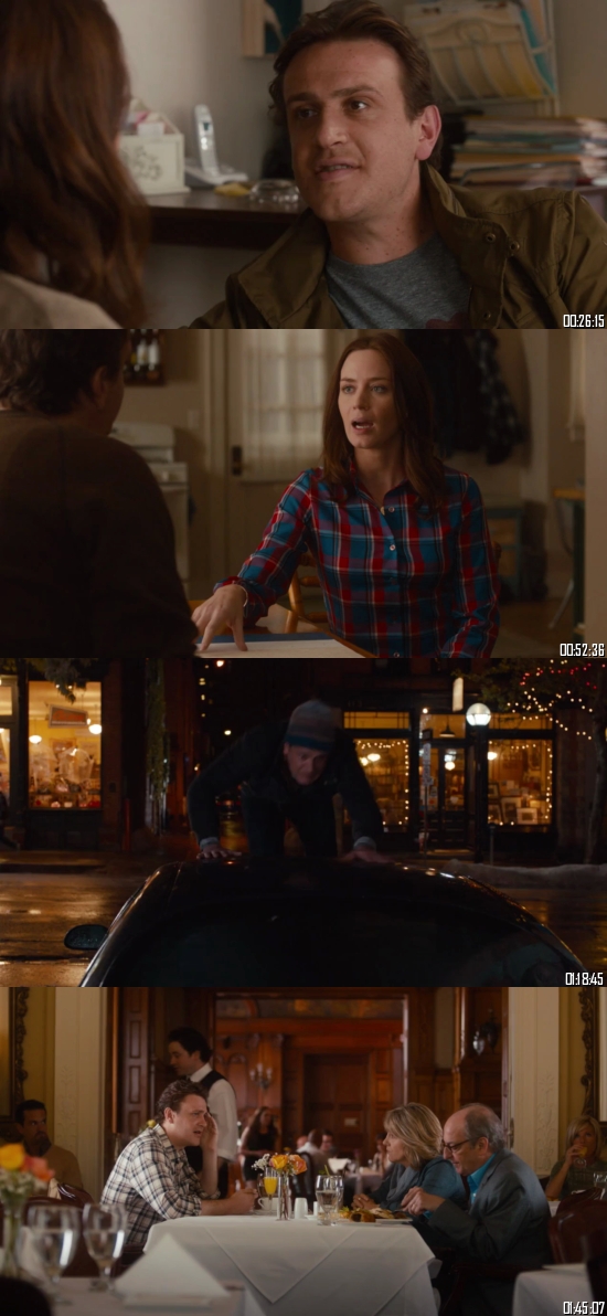 The Five-year Engagement 2012 Dual Audio Hindi 720p 480p BluRay [1.1GB 400MB]